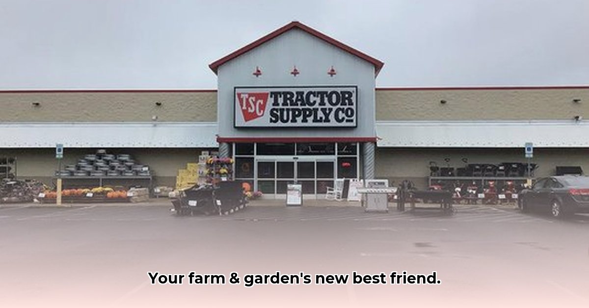 brodheadsville-tractor-supply